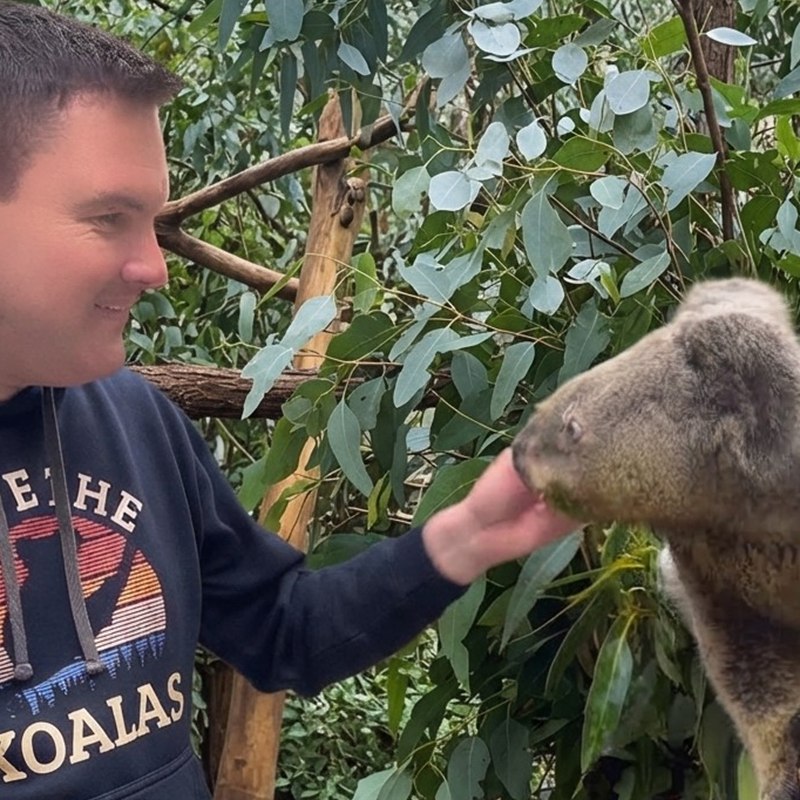 Tobias Reinhardt f&uuml;ttert einen Koala mit Eukalyptusbl&auml;ttern